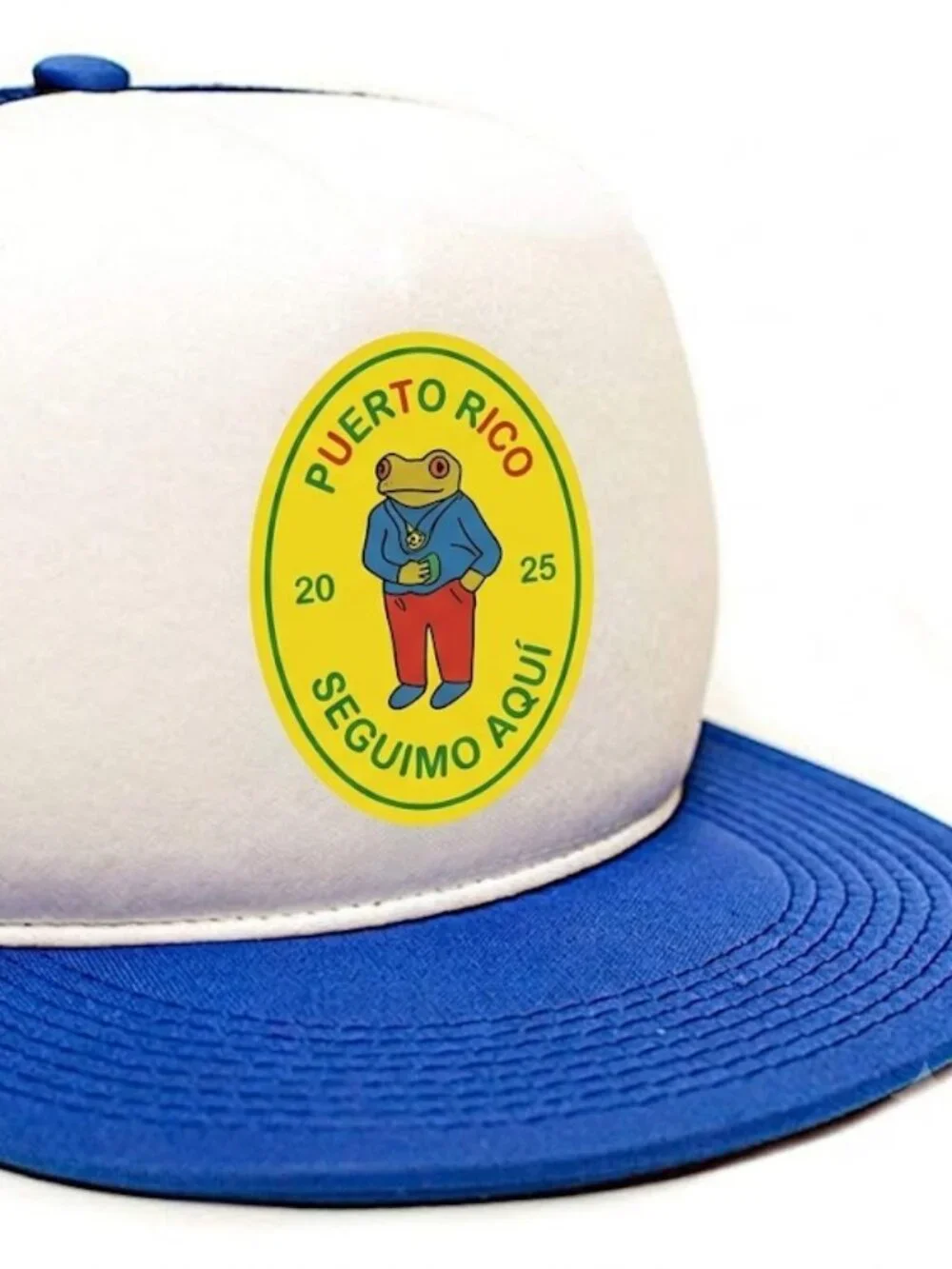 Retro Puerto Rico Seguimo Aqui Trucker Hat Vintage Flat Bill Foam Snapback Cap